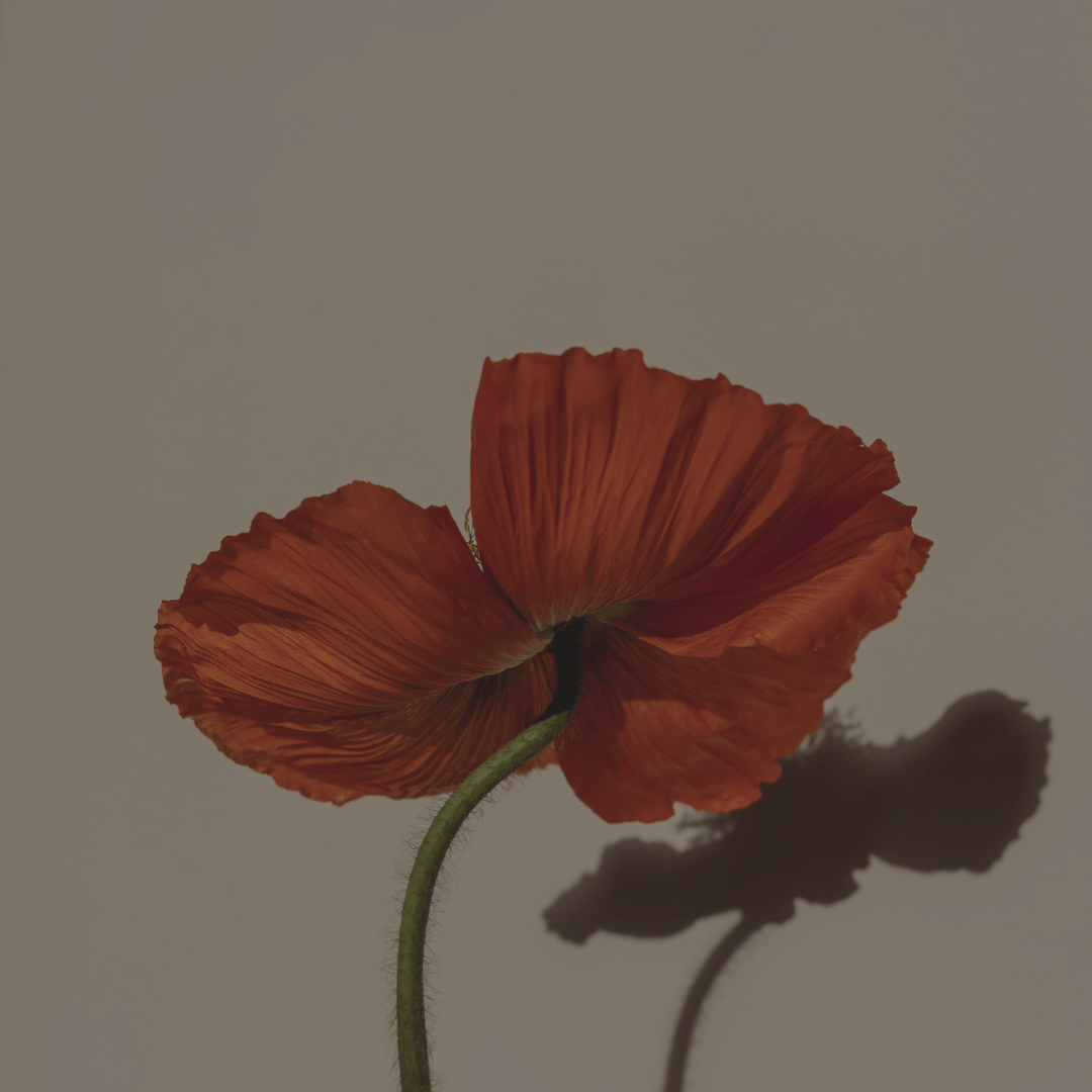 The Joys of Not Being for Everyone