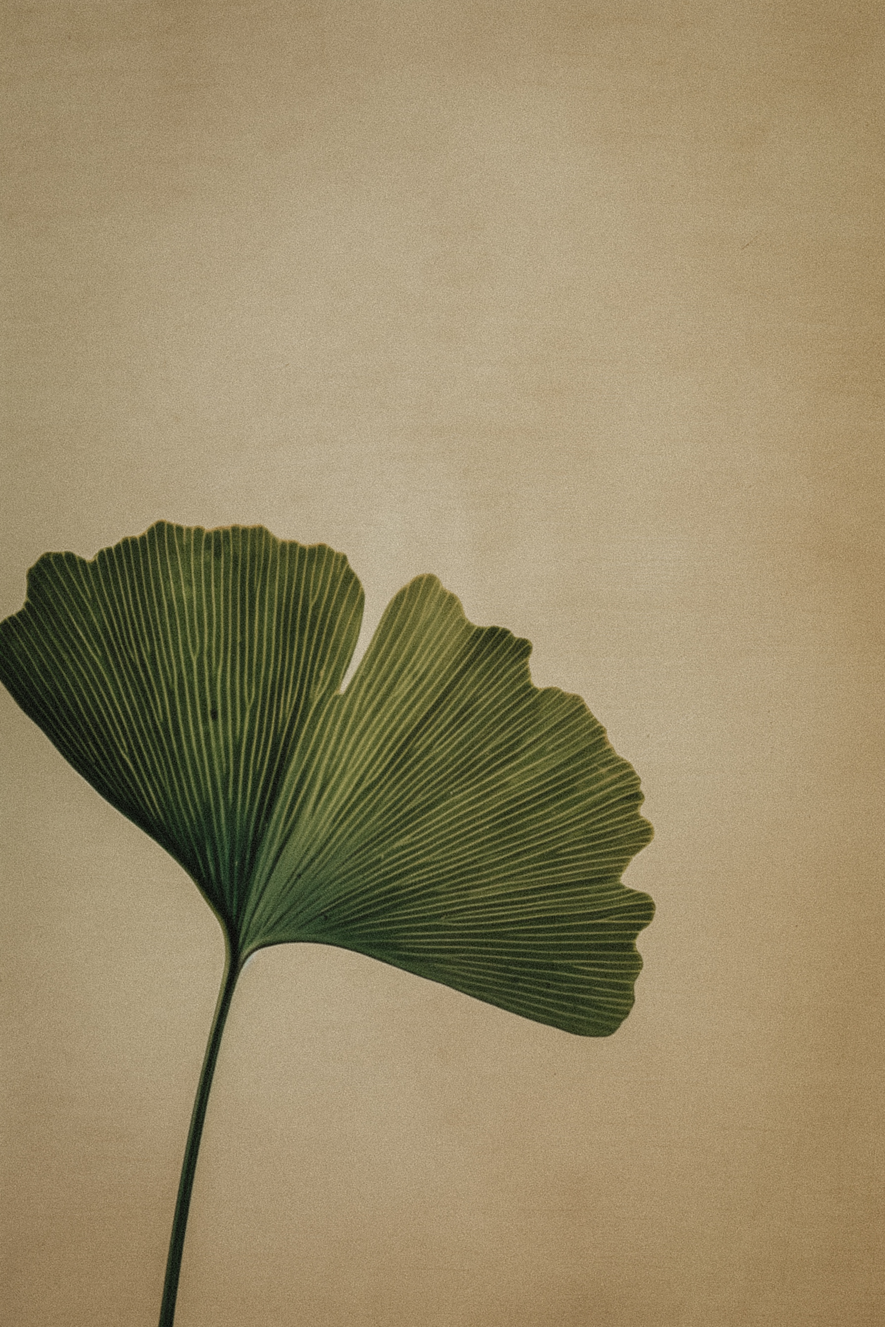 You’re Not Burnt Out. You’re Creatively Underfed.